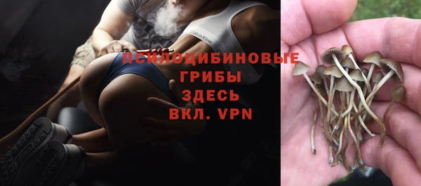 герыч Белокуриха