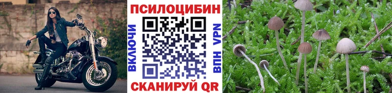 Галлюциногенные грибы прущие грибы Вельск